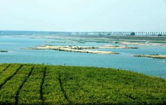 青島“省控河”水質(zhì)改善 113處排污口已被封堵